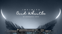 Emergence Audio C Infinity Bird Whistle (KONTAKT)ֻЧϳ