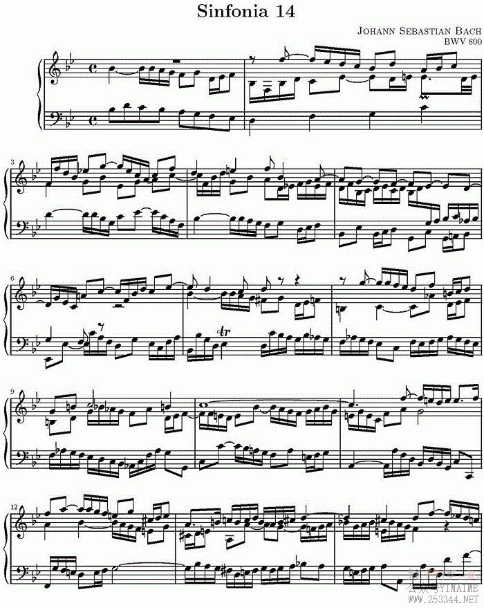 15װͺNO.14