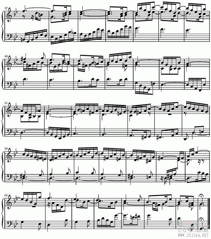 15װͺNO.11
