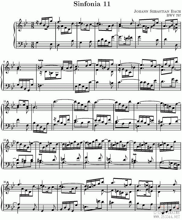 15װͺNO.11