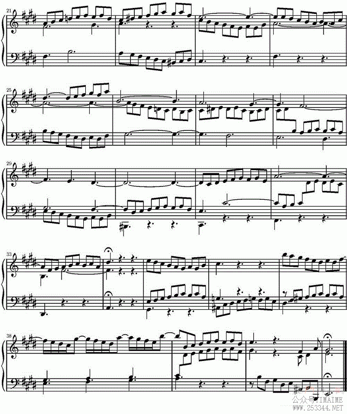 15װͺNO.6