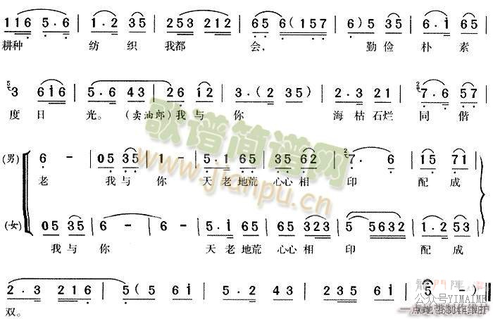 ֻ6()6