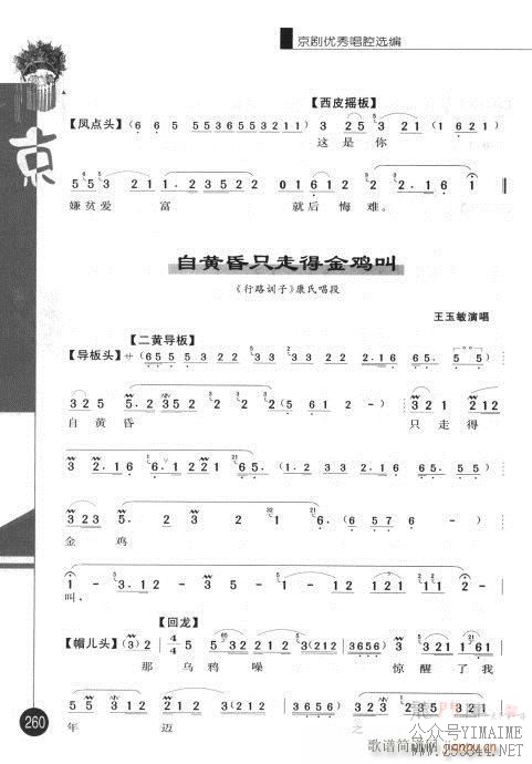 弭241-260()20