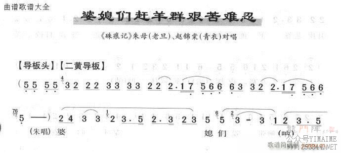 ϱǸȺ-()1