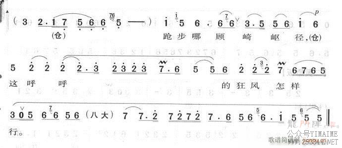 ϱǸȺ-()7