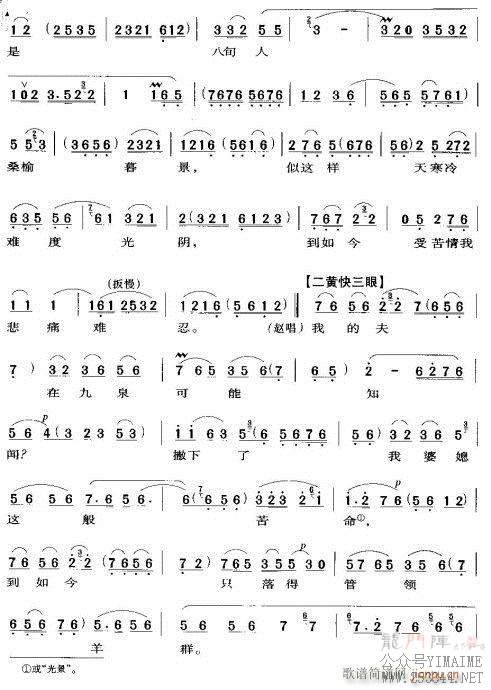 ϱǸȺ-()5