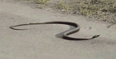 33283e7d3c1f16343fc768b146510dc1.gif